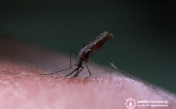 ??????????? ???????????