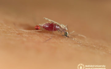 ??????????????????? ???????????????????